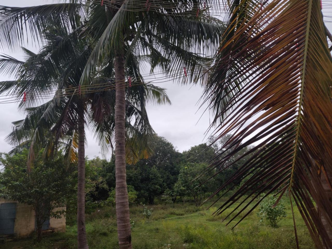 Srb Residency Hotel Tiruvannamalai Bagian luar foto